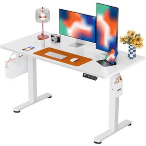 ErGear Height Adjustable Electric Standing Desk, 48 x 24 Inches Sit Stand up Desk, Memory Computer Home Office Desk with Two-Piece Desktop (White)