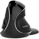 DELUX Wireless Ergonomic Vertical Mouse, Rechargeable Ergo Mouse for large Hands, Slient Click, Removable Wrist Rest, Up to 4000 DPI, 6 Buttons,2.4G Dual Mode, Compatible with Laptop/PC (M618PD-Black)