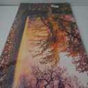 Tree of Life Wall Art Canvas Prints Natural Scenery Picture Home Decor Colorful Forest Paintings for Living Room Bathroom Bedroom Kitchen Decorations 20x40 Wooden Frames Landscape Artwork