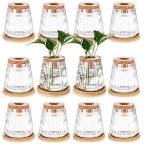 Baderke 12 Packs Propagation Vases for Plants Plastic Plant Propagation with Hole Lid and Bamboo Stand Growing in Water Hydroponic Home Office Desktop Vase Decoration