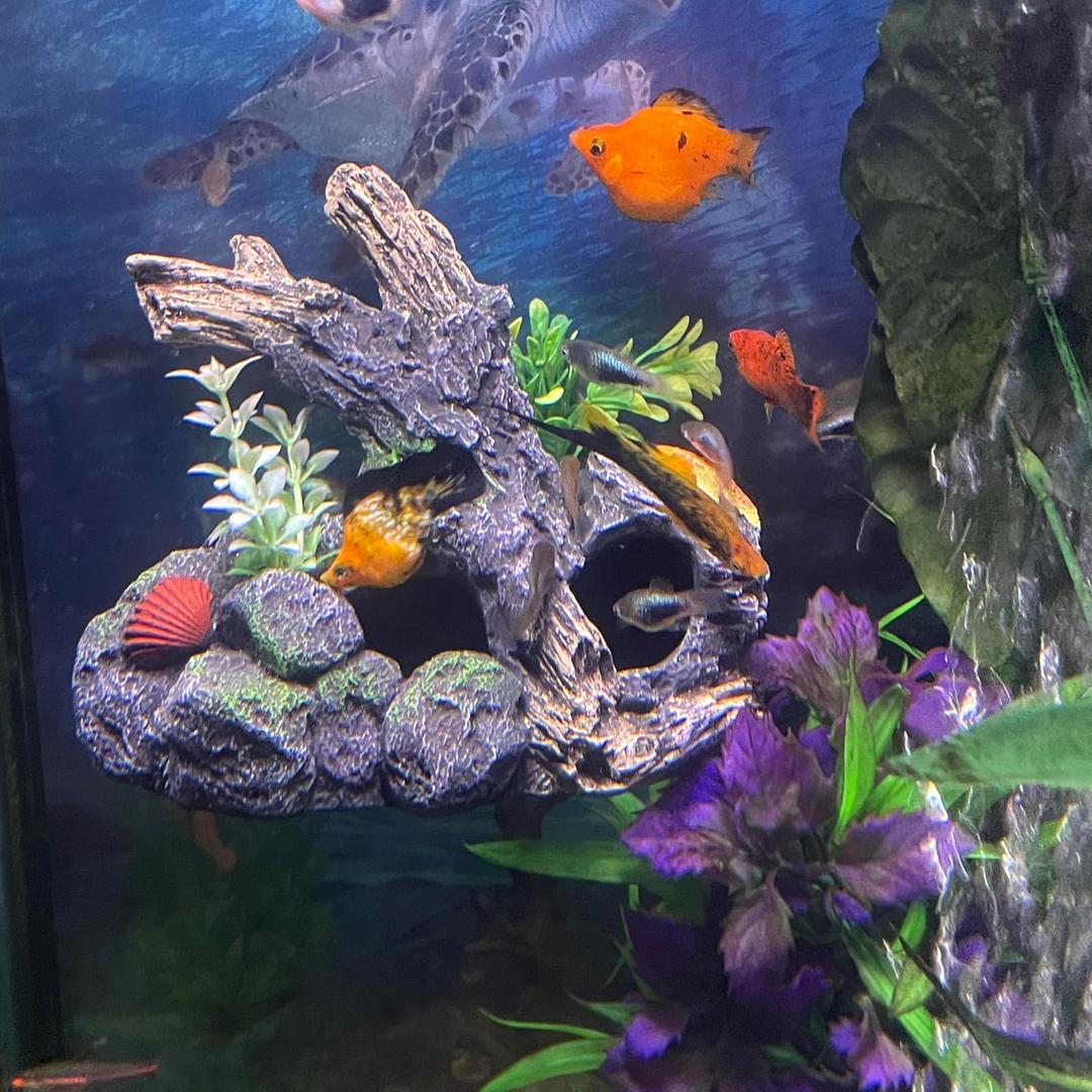 Aquarium Decor Magnetic Driftwood Outcropping Ornament Wall-Mounted Fish Tank Accessory