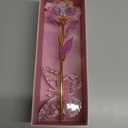 Unique Gifts for Sister, Pink Preserved Galaxy Rose with 4.23.15 Inch Acrylic Butterfly Stand - Delicate Sister Birthday