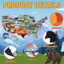 Xuhal 50 Pcs United States Map Fridge Magnets USA Souvenirs Us Individual State & Province Refrigerator Magnets Set for Travel Gift Destination of States Visited(Elegant, Become A Map)