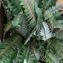 Artificial Ferns 25.6" Dia. - Faux Ferns for Outdoor Planter & Hanging - Fake Plant Shrubs for Home Garden Porch Farmhouse Decor (49 Fronds)
