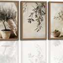 3Pcs Wooden Framed Tree Botanical Canvas Wall Art Mediterranean Olive Branch Painting Prints Poster, Rustic Farmhouse Neutral Picture Decor for Living Room Bedroom Kitchen Dining Room 12x16in