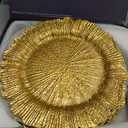 MAONAME Gold Charger Plates Set of 12, Reef Plate Chargers for Dinner Plate, Round Plastic Table Chargers for Thanksgiving, Christmas