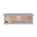 Colorescience Mineral Corrector Palette SPF 20 , 1 Count (Pack of 1)