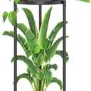 iDavosic.ly 2 Tier Corner Plant Stand Indoor, Tall Vertical Metal Flower Heavy Duty Pot Holder Shelf Outdoor for Patio Porch Living Room, Modern Black - Round