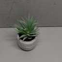 Der Rose Fake Succulents Plants Artificial Succulents in Pots for Room Home Bathroom Bedroom Office Boho Decor