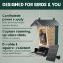 Perky-Pet Solar Powered Smart Bird Feeder with Camera - Squirrel-Resistant, 3.2L Capacity, Motion Activated 1080p HD WiFi Live Stream Camera, SPCAM, SPCAMSLR - Camera Feeder Gift Idea, Forest Green
