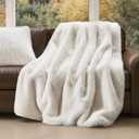 EVERGRACEHOME Luxury Faux Fur Throw Blanket, Soft Fluffy Faux Mink Blankets for Bed, Couch, Sofa, Thick Cozy Plush Warm Fur Throws with Reversible Velvet, Ivory Mink, 60"x80"