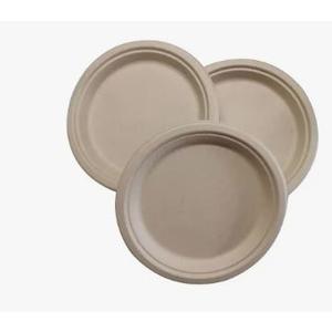 Freshware Paper Plates - Disposable 9" Plate, 125-Pack Biodegradable Sugarcane Fiber Dinner Plates - Heavy Duty Dinnerware for Hot Food - Microwave & Freezer Safe, Stackable Dinnerware (Natural)