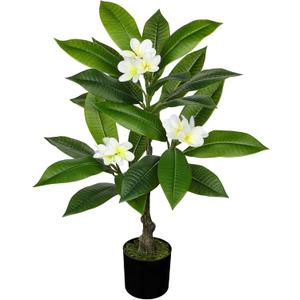 Briful Artificial Plants Indoor 26.77'' Fake Tropical Plumeria Flowers Tree Plants in Black Pot Hawaiian White Plumeria Rubra Faux Frangipani Tree Floor Plant for Home Office Wedding Decor