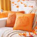 2 x AQOTHES 1PCS Pumpkin Fall Orange Throw Pillow Covers 18 x 18 Soft Plush Couch Sofa Pillows Cushion Covers Cases for Autumn Harvest Farmhouse Halloween Home Decorations