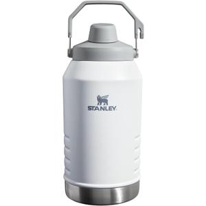 Stanley IceFlow Fast Flow Jug with Handle 96 oz | Twist On Angled Spout Lid | Leakproof for Travel and Sports | Insulated Stainless Steel | BPA-Free | Polar