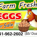 Fresh Eggs for Sale Sign, 18x24 DS Coroplast, Large Outdoor Farm Fresh Eggs Sign with Blank Space for Personal Info, Pack of 4