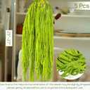 5Pcs Dried Amaranthus Hanging Flowers - 100% Natural 23 Neon Green Preserved Amaranthus Flowers for Wedding Arch, Floral Arrangment, Wall Hanging