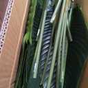 Lifelike Bird of Paradise Artificial Plant 4ft Faux Banana Leaf Tree with 9 Trunks for Home Decor - Perfect Indoor Silk Floor Plant for Living Room, Office, and Bedroom Ambiance Enhancement