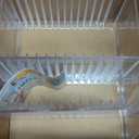 STORi Stackable Clear Plastic CD Organizer with Rubber Feet | Rectangular Jewel Cases Holder Perfect for Theatre Room | Holds up to 30 CD Cases | Made in USA