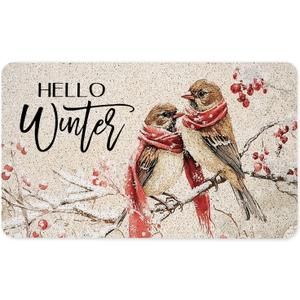 Hello Winter Sparrow Bird Door Mat, Snowy Christmas Berry Bird Doormat for Front Door Indoor Outdoor Entrance Porch, Winter Xmas Welcome Mat Outside, Xmas Holiday Bath Mats, 17x30 Inches