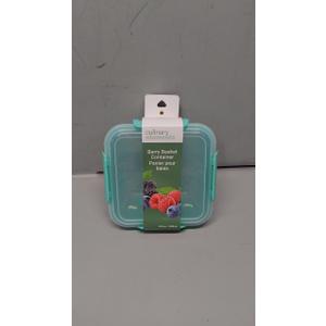 Berry basket container (Pack of 4)