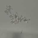 Prime-Line U 10136 1/4 In., Clear Plastic, Shelf Support Peg (8 Pack)