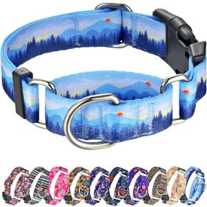 Hikiko Martingale Collar for Dogs Soft Durable Dog Collar for  Boy and Male Dogs No Pull No Slip Safety Buckle Dog Collars (Hill, Small)