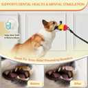 6 x Interactive Dog Toys Tug of War,Dog Puzzle Toy Squeaky for Medium Small Breed Mental Stimulation,Indestructible Food Dispensing Dog Toy to Keep Busy,Red Yellow