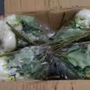 24 Bundles Peonies Artificial White Flowers Bouquet, Lifelike Silk Fake Peonies with Stems for Home Table Centerpieces, Wedding, Party & DIY Bridal Floral Arrangements (White)