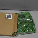 AmyHomie Artificial Flowers Green Rose 25pcs Real Looking Fake Roses w/Stem for DIY Wedding Bouquets Centerpieces Arrangements Party Baby Shower Valentines Day Christmas Tree Decorations