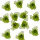 Dance Scarves 12 Pcs Juggling Scarves for Kids Play Silk Scarve for Babies Toddlers Children Movement Learning Education Musical Accessories Colorful Scarfs Magic Tricks Performance (Army Green) Pack Of 2