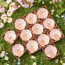 SiliFine 12 Pcs Wedding Favors for Guests Small Ceramic Bowl Bulk Gifts Set 3.3 Inch Floral Design Mini Dipping Sauce Dish with Card Box for Bridal Pooja Baby Shower Birthday (Flower,Pink)