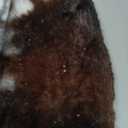 Christmas Tree Skirt 30/48inches, Cow Stripe Plush Faux Fur Christmas Tree Skirt Xmas Tree Skirt for Christmas Decorations Home Party Holiday Decor Cow 78 CM