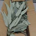 Faux Eucalyptus Stems - 34' Long Fake Salix Leaves 6 Pcs Artificial Greenery Stems for DIY Bouquet Arrangements, Centerpieces, Shower Decorations