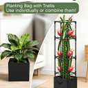 Dragon Fruit Trellis for Climbing Plants Indoor Outdoor, Heavy Duty Metal Adjustable Vertical Garden Support for Indoor Outdoor Potted Plants, Tomato, Cactus, Roses,Vines(12 * 12 * 47inch,1PC)
