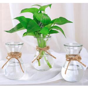 Three Hydroponic Hyacinth Glass Vases,Propagation Vases,Home Decoration Vase,DIY Interest Plant Cultivation Flower Bottles,Cottage Core Decor(Clear)