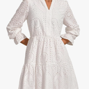 PRETTYGARDEN Women's Spring 2025 Long Puff Sleeve Mini Dress Hollow Out Lace V Neck A Line Ruffle Casual Party Dresses, S