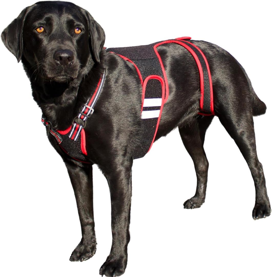 Dog Back Brace - Specialized IVDD, Arthritis Relief, Herniated Disc, Slipped Disc, Surgery Recovery - Dog Spine Support Harness - PetAngell - Medium