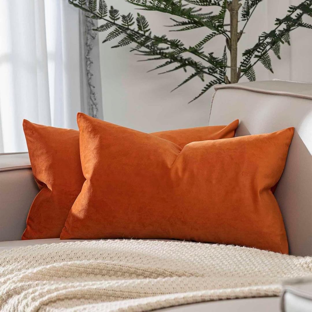JUSPURBET Burnt Orange 16x24 inch Pillow Cover Set of 2 Soft Decorative Lumbar Velvet Throw Pillow Cases for Couch Bed Sofa Zippered Closure Luxurious Velvet Fabric Machine Washable Home Decor