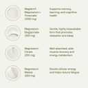 Nutriissa 12-in-1 Full-Spectrum Magnesium Complex 2950 mg Magnesium Blend Providing 540 mg Elemental Magnesium Featuring Magtein, Glycinate, Taurate & Malate EPEB Certified 120 Vegan Capsules, No BB Date