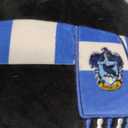 Squishmallows Original Harry Potter 10-Inch Ravenclaw Raven Plush - Medium-Sized Ultrasoft Official Jazwares Plush