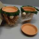 Taiyin 4 Pcs Gnomes Succulent Planter Bulk Garden Pots Outdoor Flower Pot Cactus Plush Tray Cute Spring Gnome Gifts Home Farmhouse Decorations for Yard