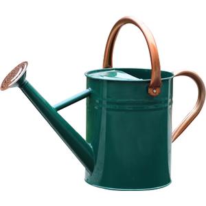 Metal Watering Can for Outdoor and Indoor Plants, Watering Can Decor, 1 Gallon (NewGreen)