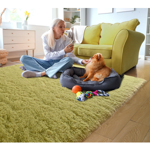 Cozy Winter Area Rug 5x8,Ultra Soft ‌Plush Shaggy Rug Non Slip for Living Room/Bedroom,Kid/Pet Friendly,Modern Home Decor Carpet,Tie-Dye Spinach Green