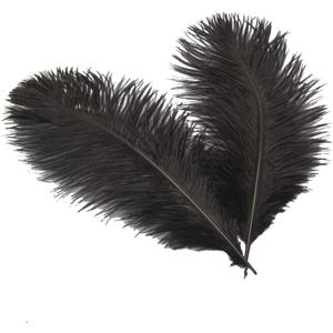 Sowder 14-16inch(35-40cm) Ostrich Feathers Plume for Wedding Centerpieces Home Decoration Pack of 10pcs(Black)