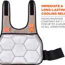 Cooling Vest with 2 Ice Packs, Instant Cooling Relief, Flexible Design, Ergodyne Chill Its 6230,Khaki,L/XL