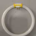 Replacement for Conair Makeup Mirror | Circular Fluorescent Bulb 5.5-Inch T4-12W FC12