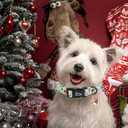 Dog Collars - Christmas Pet Collar with Santa Claus Print, Durable & Soft, Adjustable for Large Dogs (Large (Pack of 1))
