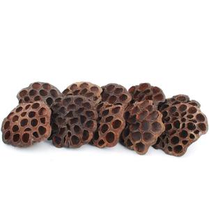 NWFashion 10PCS/Package Artificial Dried Brwon Lotus Pods Without Seed and Stems(8-10CM)