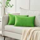 Krifey Throw Pillow Covers Velvet Spring Decorative Square Pillowcase Soft Cushion Case for Couch Bedroom Car 12x20 Inch Apple Green, Pack of 2